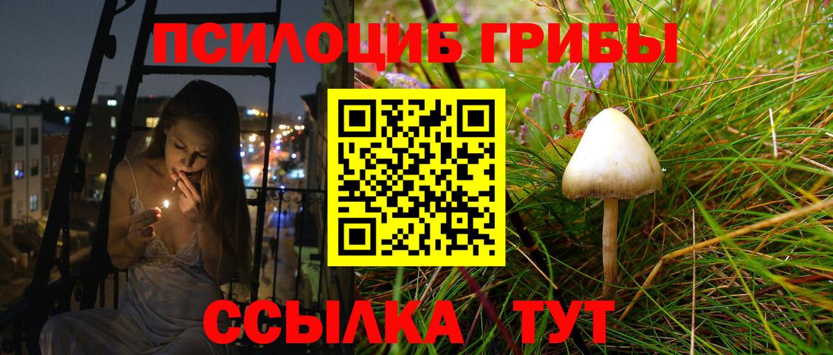Псилоцибиновые грибы мицелий  Вход с VPN  Рассказово 